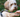 Comandos Básicos para Enseñar a tu Perro: Fortaleciendo el Vínculo Humano-Animal - Bienestar Animal | By Flores de Paz