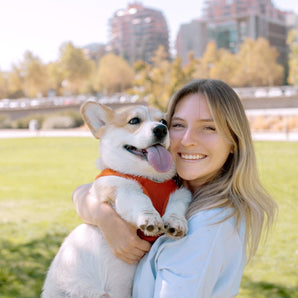 1 Sesión Etología Canina Jose Veterinaria - Tratamiento Emociones/Conductas - Bienestar Animal | By Flores de Paz