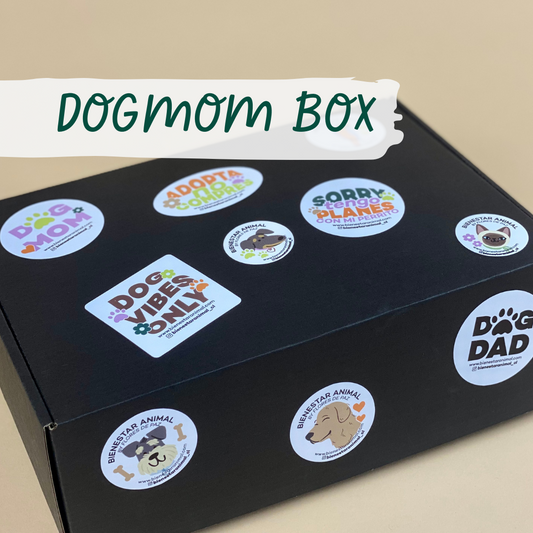 DOG MOM BOX