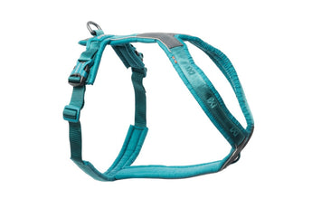 Arnés Perro Line 5.0 Celeste - Non Stop Dogwear - Bienestar Animal | By Flores de Paz