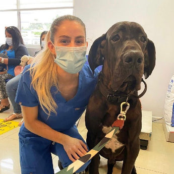 Dermatología Canina Presencial - Bienestar Animal | By Flores de Paz