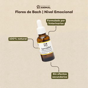 Flores de Bach para Perros — Aprendizaje - Bienestar Animal | By Flores de Paz