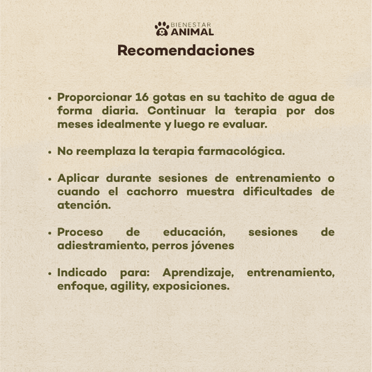 Flores de Bach para Perros — Aprendizaje - Bienestar Animal | By Flores de Paz