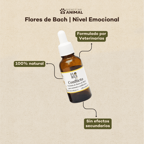 Flores de Bach para Perros — Conflictos y Adaptación - Bienestar Animal | By Flores de Paz