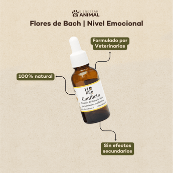 Flores de Bach para Perros — Conflictos y Adaptación - Bienestar Animal | By Flores de Paz