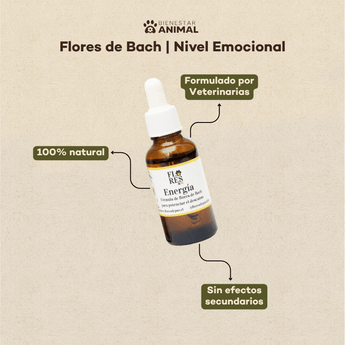 Flores de Bach para Perros — Falta de Energía y Vitalidad - Bienestar Animal | By Flores de Paz