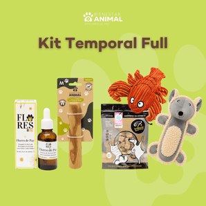Kit Temporal Full — Todo para Acompañar a tu Perro en Días de Lluvia - Bienestar Animal | By Flores de Paz