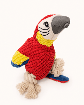Loro / guacamayo con cuerdas - Bienestar Animal | By Flores de Paz