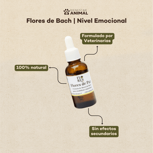 Pack 3 Meses Flores de Bach — Ansiedad y Miedos Perros y Gatos - Bienestar Animal | By Flores de Paz