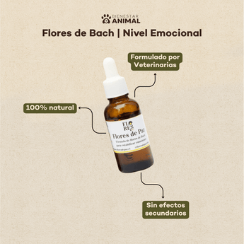 Pack 3 Meses Flores de Bach — Ansiedad y Miedos Perros y Gatos - Bienestar Animal | By Flores de Paz