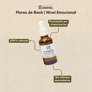 Pack 3 Meses Flores de Bach — Soledad y Ansiedad por Separación - Bienestar Animal | By Flores de Paz