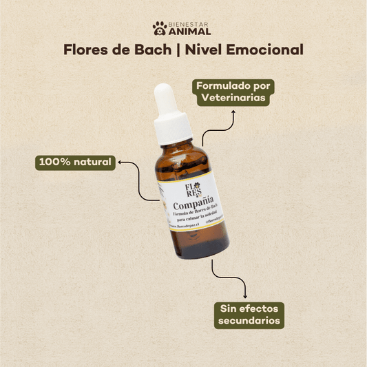 Pack 3 Meses Flores de Bach — Soledad y Ansiedad por Separación - Bienestar Animal | By Flores de Paz