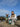 Pack 6 sesiones con María Fernanda, etóloga canina. Presencial. - Bienestar Animal | By Flores de Paz