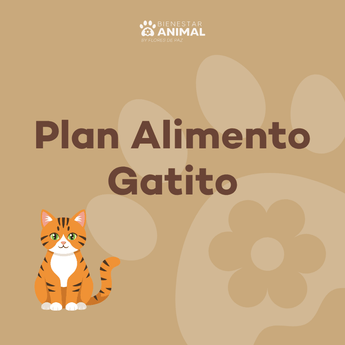 Plan Alimento Gatito — Kitten - Bienestar Animal | By Flores de Paz