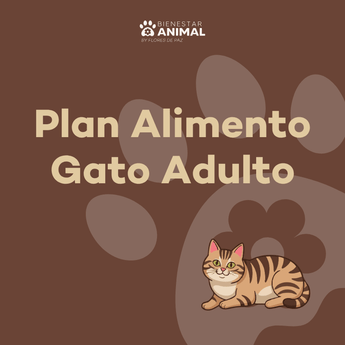 Plan Alimento Gato — Adulto - Bienestar Animal | By Flores de Paz