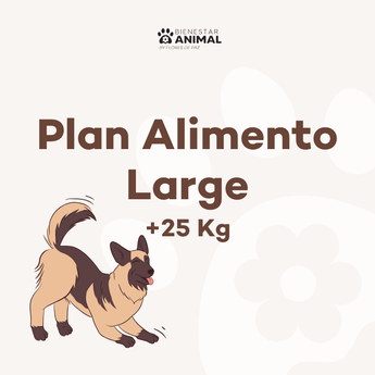 Plan Alimento Large — Perros Grandes (+25 kg) - Bienestar Animal | By Flores de Paz