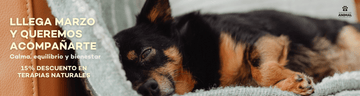 15% de descuento en terapias naturales: empieza marzo con más calma y equilibrio para tus perros🐾 - Bienestar Animal | By Flores de Paz