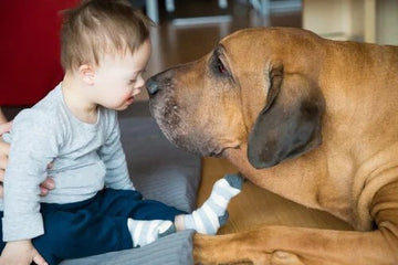 Animales como Contención Emocional: El Poder Terapéutico para Niños y Personas Autistas - Bienestar Animal | By Flores de Paz