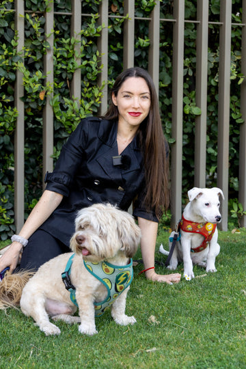 Aromaterapia y su uso para la ansiedad y el estrés en perros - Bienestar Animal | By Flores de Paz