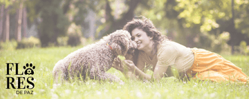 Cómo Mejorar la Conducta de Mi Perro: Consejos y Estrategias Efectivas para una Convivencia Armoniosa - Bienestar Animal | By Flores de Paz