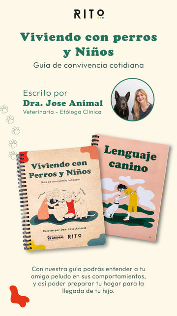 ¿Cómo presentar a tu perro al nuevo integrante de la familia, tu bebé? - Bienestar Animal | By Flores de Paz