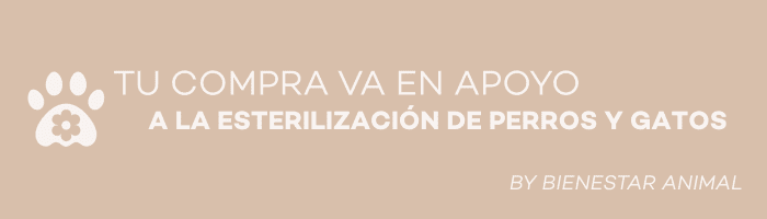 Día Mundial de la Esterilización: juntos apoyamos la campaña de Maitencillo Adopta 🐶🐱 - Bienestar Animal | By Flores de Paz