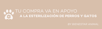 Día Mundial de la Esterilización: juntos apoyamos la campaña de Maitencillo Adopta 🐶🐱 - Bienestar Animal | By Flores de Paz