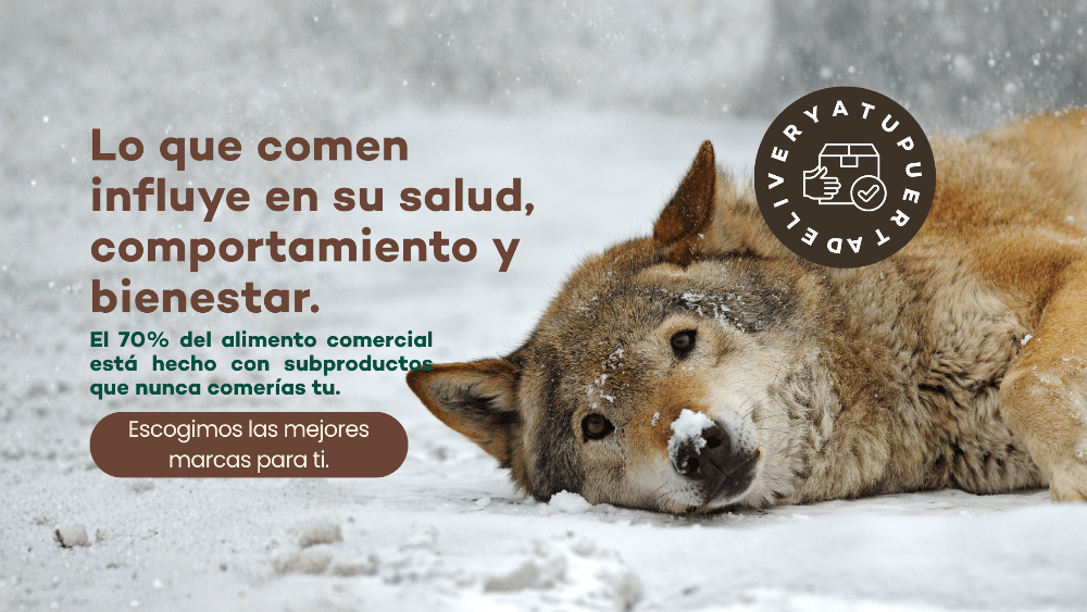 Diferencias entre proteína real y harina animal. - Bienestar Animal | By Flores de Paz