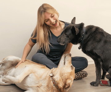 El día que comencé a usar flores de bach - Bienestar Animal | By Flores de Paz