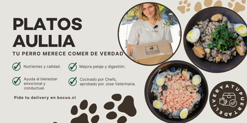 El día que se te olvidó descongelar la comida para tu perro (a todos nos pasa 😅) - Bienestar Animal | By Flores de Paz