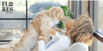 El Fascinante Vínculo de Apego entre Humanos y Perros: Cómo Conviven Dos Especies Diferentes - Bienestar Animal | By Flores de Paz
