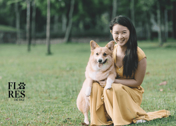 El Impacto del Contagio Emocional entre Humanos y Animales: ¿Cómo Nuestras Mascotas (Animales de Compañía) Moldean Nuestras Emociones y Bienestar - Bienestar Animal | By Flores de Paz