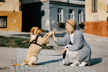 Emociones y animales... ¿Sienten emociones los animales? - Bienestar Animal | By Flores de Paz