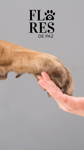 Enriquecimiento Ambiental en Perros: Cómo Mejorar su Bienestar Emocional y Comportamiento - Bienestar Animal | By Flores de Paz