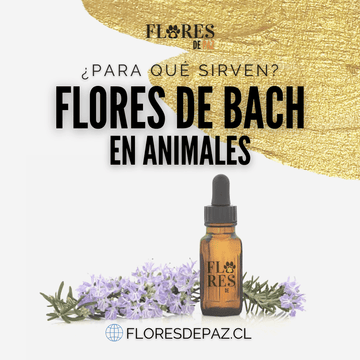 Flores de Bach en animales - ¿Para qué sirven? - Bienestar Animal | By Flores de Paz