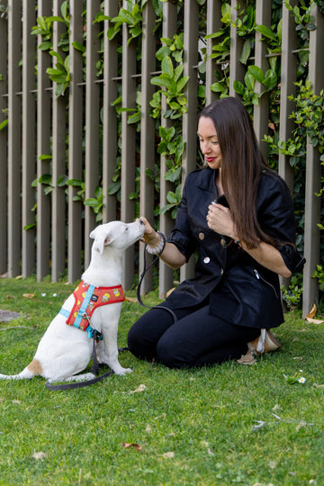 Gemoterapia en animales ¿Qué beneficios tiene? - Bienestar Animal | By Flores de Paz