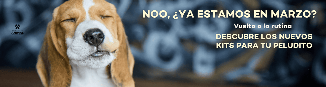 La pregunta que más nos hacen sobre suplementos 🤔 - Bienestar Animal | By Flores de Paz