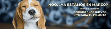 La pregunta que más nos hacen sobre suplementos 🤔 - Bienestar Animal | By Flores de Paz