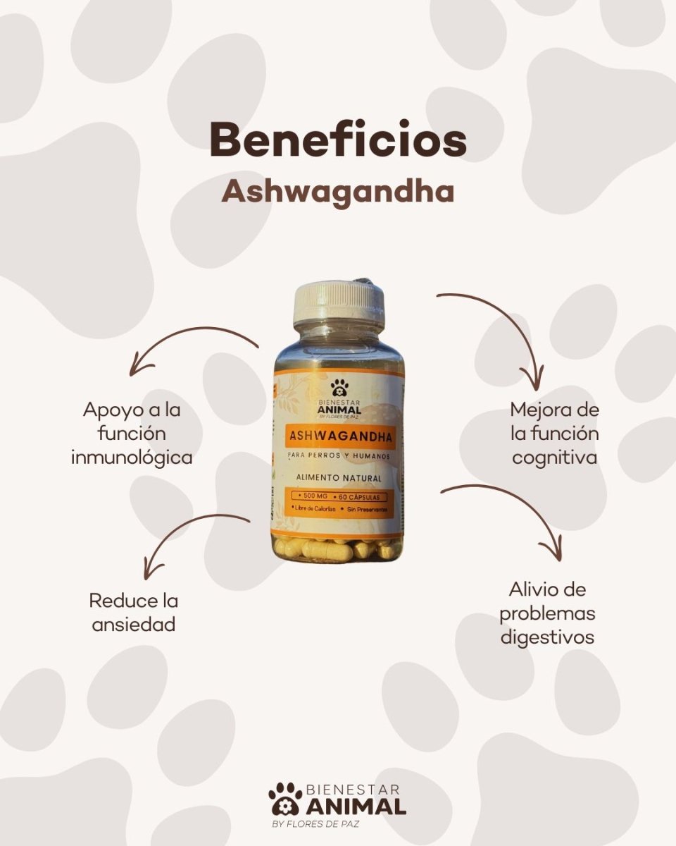 Llegamos con sorpresa de 3 meses en todas las terapias caninas - Bienestar Animal | By Flores de Paz