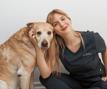 Mi perro fue internado en la clínica, estas Flores de Bach le dimos - Bienestar Animal | By Flores de Paz