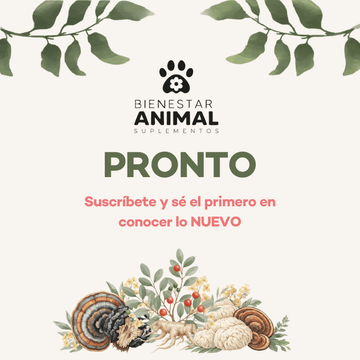 PRE-LANZAMIENTO! Algo nuevo viene para tus peluditos! - Bienestar Animal | By Flores de Paz