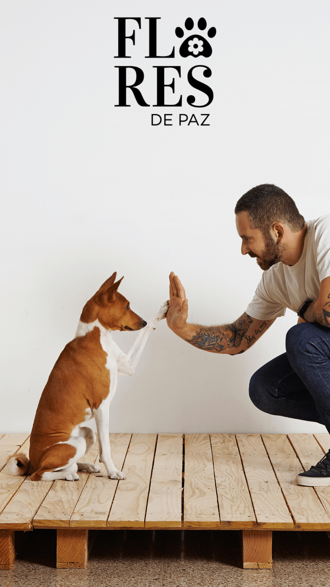 Qué buscar en un entrenador o adiestrador canino: una guía para encontrar el entrenador adecuado para ti y tu compañero canino. - Bienestar Animal | By Flores de Paz