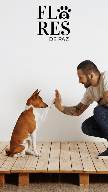 Qué buscar en un entrenador o adiestrador canino: una guía para encontrar el entrenador adecuado para ti y tu compañero canino. - Bienestar Animal | By Flores de Paz