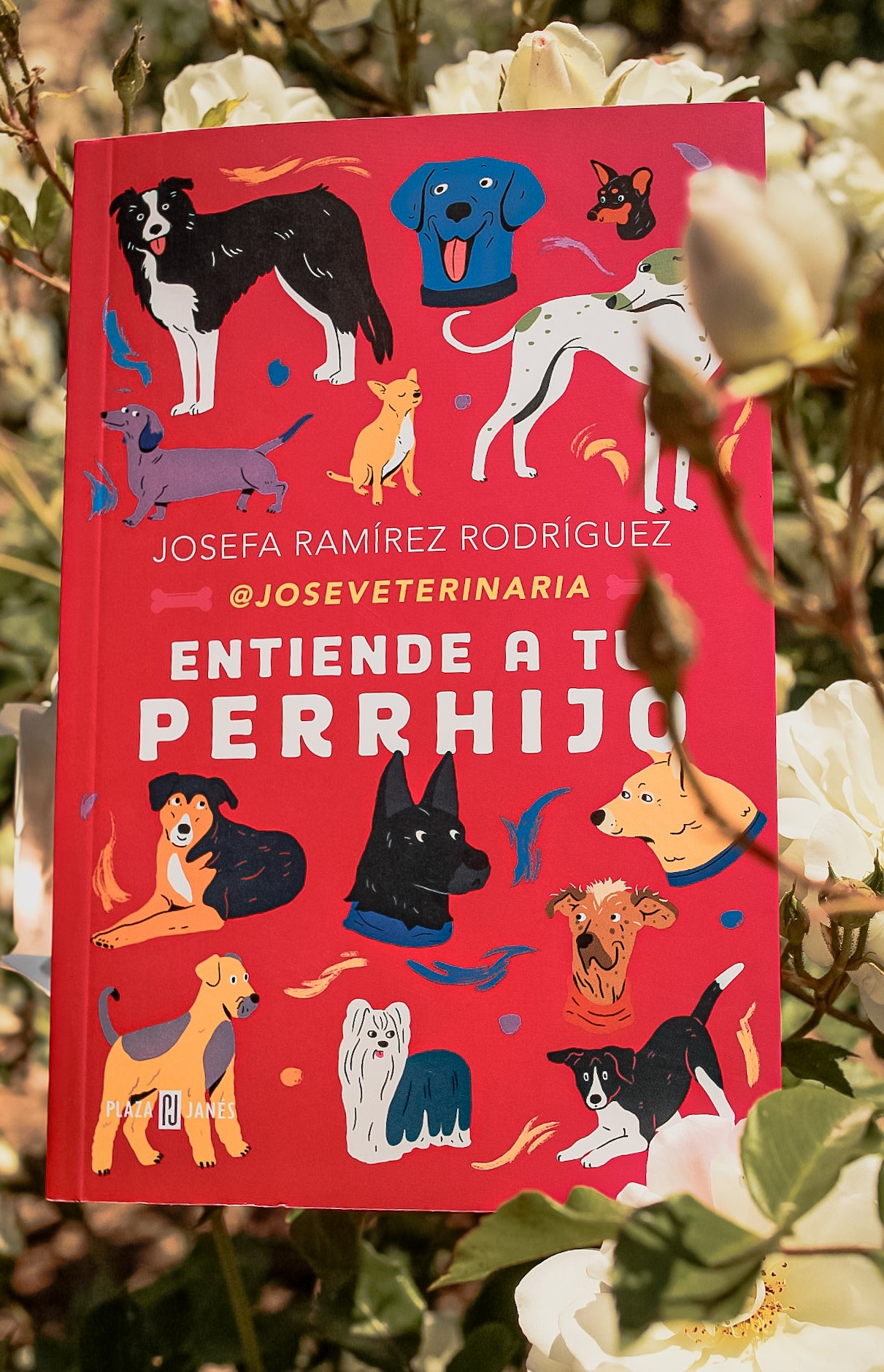 Libro Entiende a tu Perrhijo Jose Veterinaria