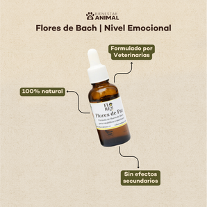 Flores de Bach para Perros — Paz, Ansiedad y Miedos