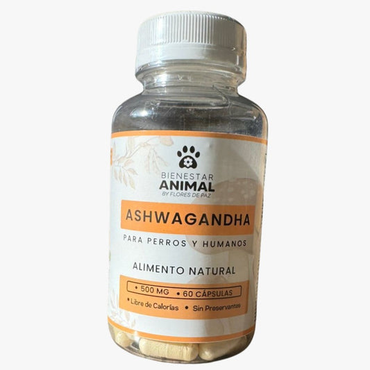 Aswagandha para perros y humanos
