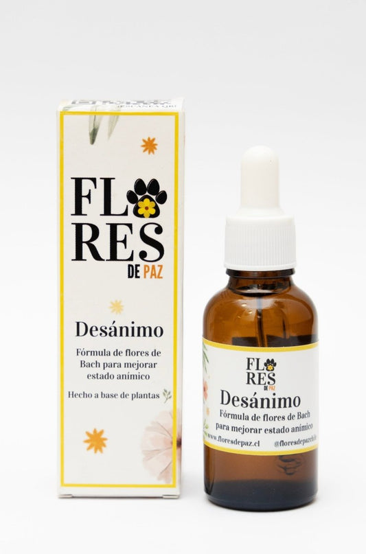 Desánimo - Pérdida de seres queridos en Perros y Gatos - Bienestar Animal | By Flores de Paz