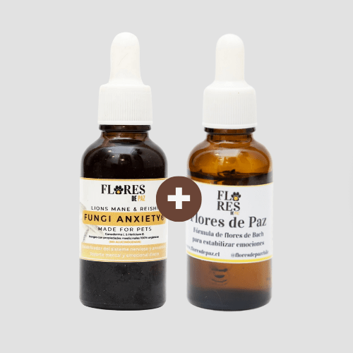 El match perfecto: Flores de Paz + Fungi Anxiety - Bienestar Animal | By Flores de Paz