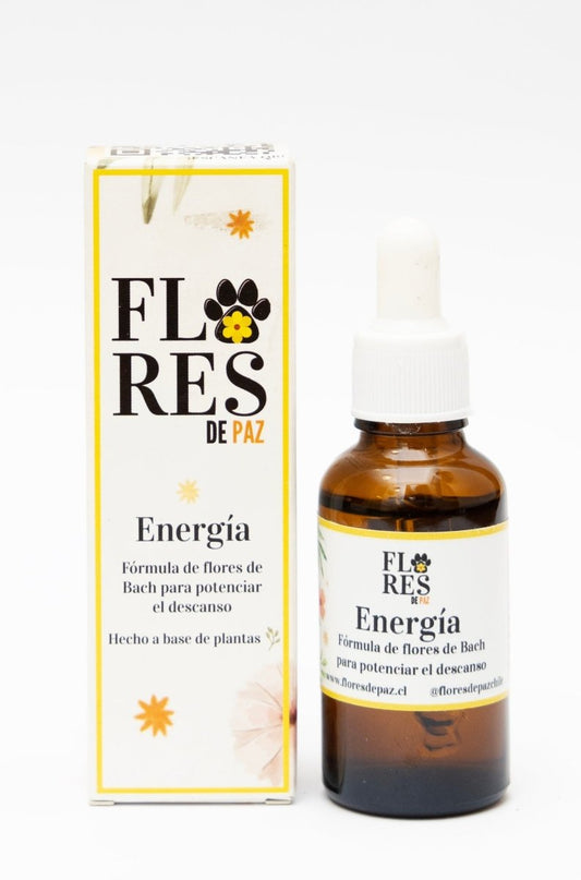 Energía - Vejez en Perros y Gatos - Bienestar Animal | By Flores de Paz