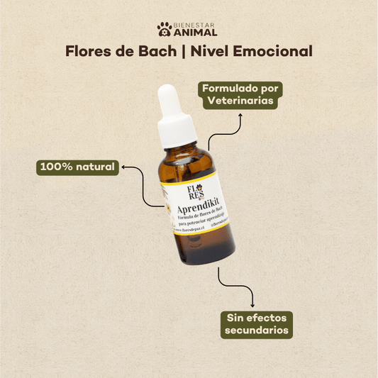 Flores de Bach para Perros — Aprendizaje - Bienestar Animal | By Flores de Paz